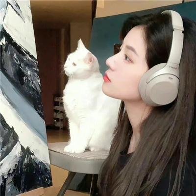 龙的心 海报